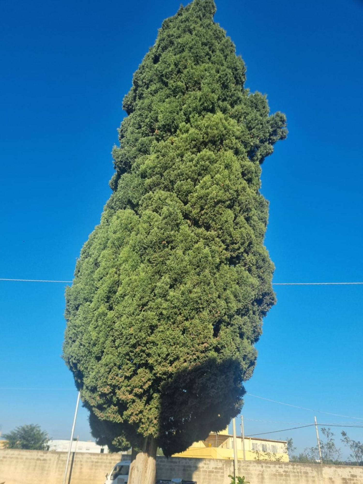 L'Albero Bello Holiday Mazara del Vallo Exterior foto